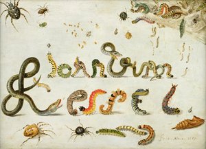 庭や他のクモ、毛虫は芸術家の名前を綴る1657（銅に油彩） 作： Jan van Kessel the Elder